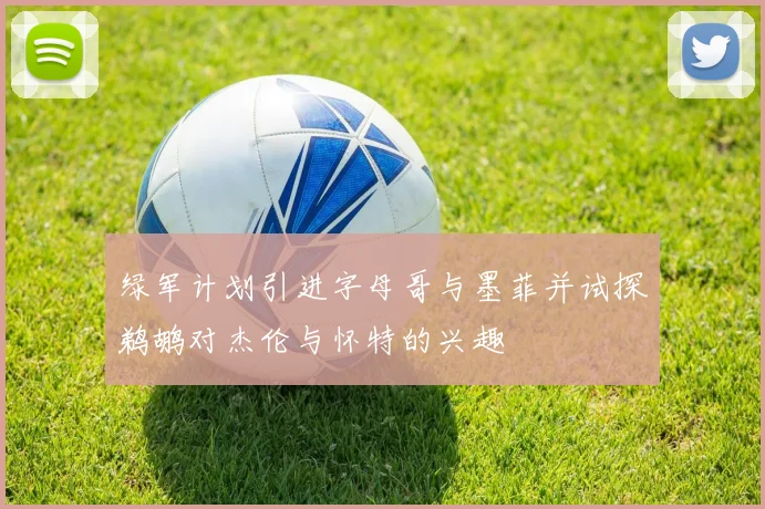 绿军计划引进字母哥与墨菲并试探鹈鹕对杰伦与怀特的兴趣